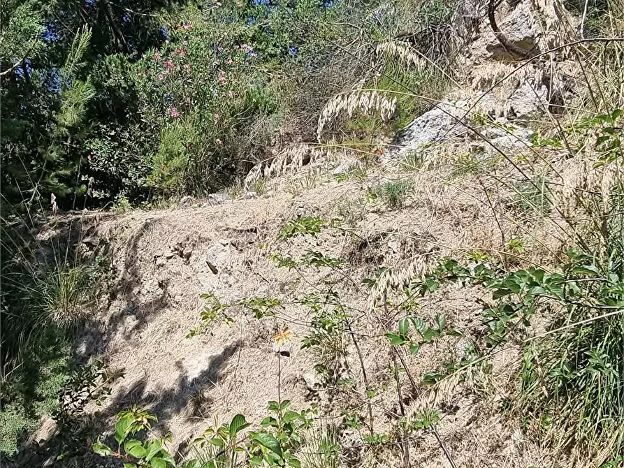 Immagine 15 di Terreno edificabile in vendita  a Mussomeli