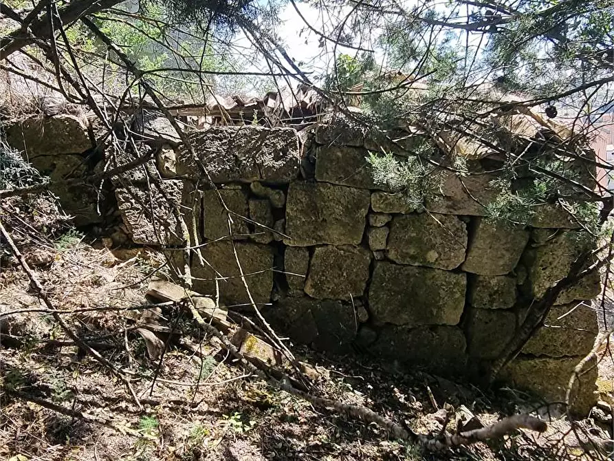 Immagine 16 di Terreno edificabile in vendita  a Mussomeli