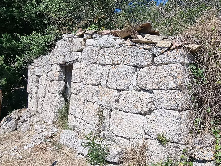 Immagine 19 di Terreno edificabile in vendita  a Mussomeli
