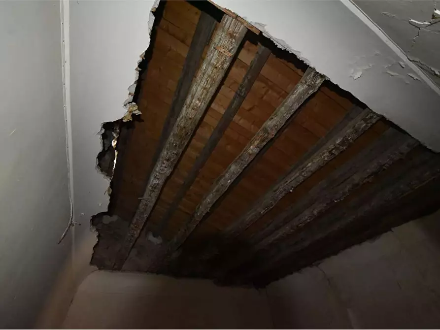 Immagine 12 di Casa indipendente in vendita  in Via Umberto 154 a Campofranco