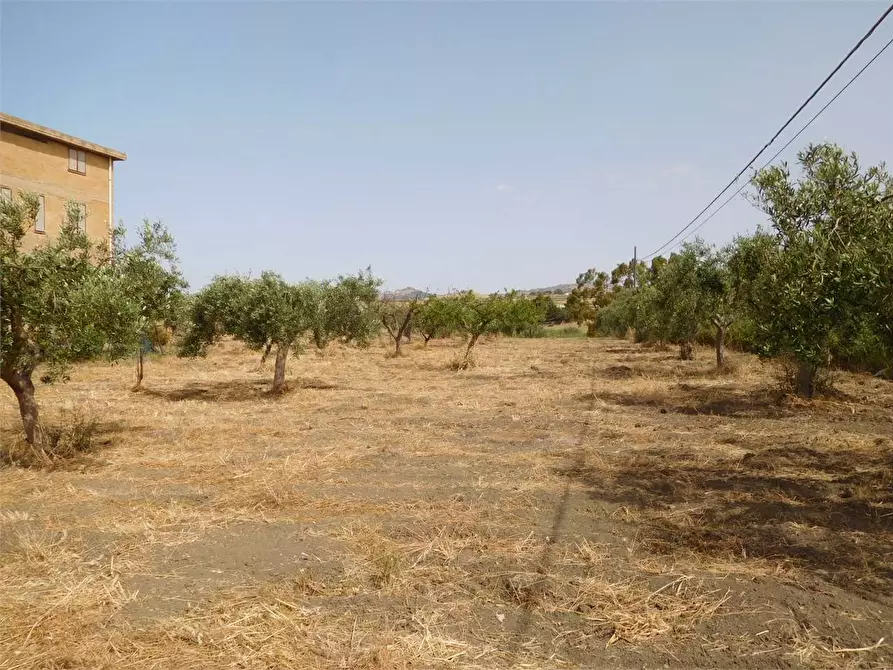 Immagine 4 di Rustico / casale in vendita  in SP 115 a Favara