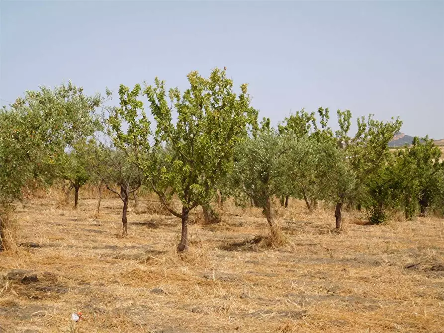 Immagine 14 di Rustico / casale in vendita  in SP 115 a Favara