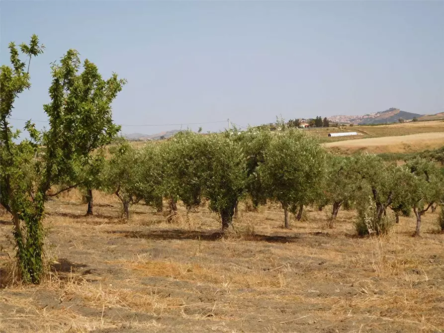 Immagine 15 di Rustico / casale in vendita  in SP 115 a Favara