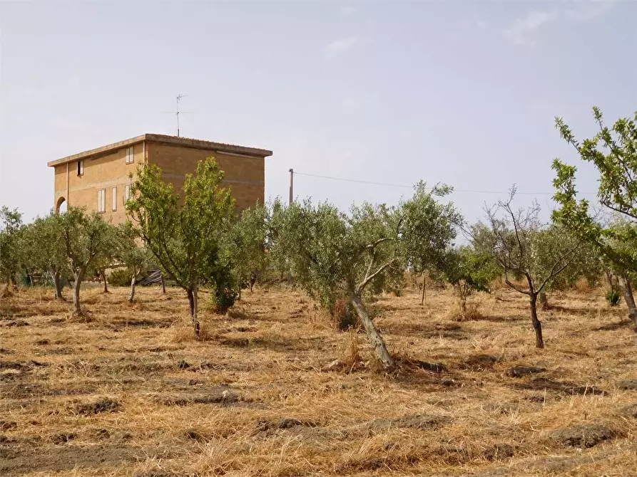 Immagine 20 di Rustico / casale in vendita  in SP 115 a Favara