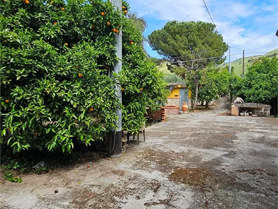 Immagine 13 di Villa in vendita  in SS189 a Campofranco