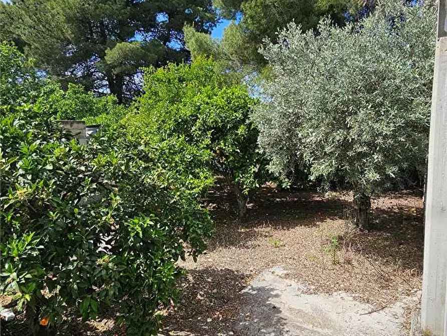 Immagine 15 di Villa in vendita  in SS189 a Campofranco