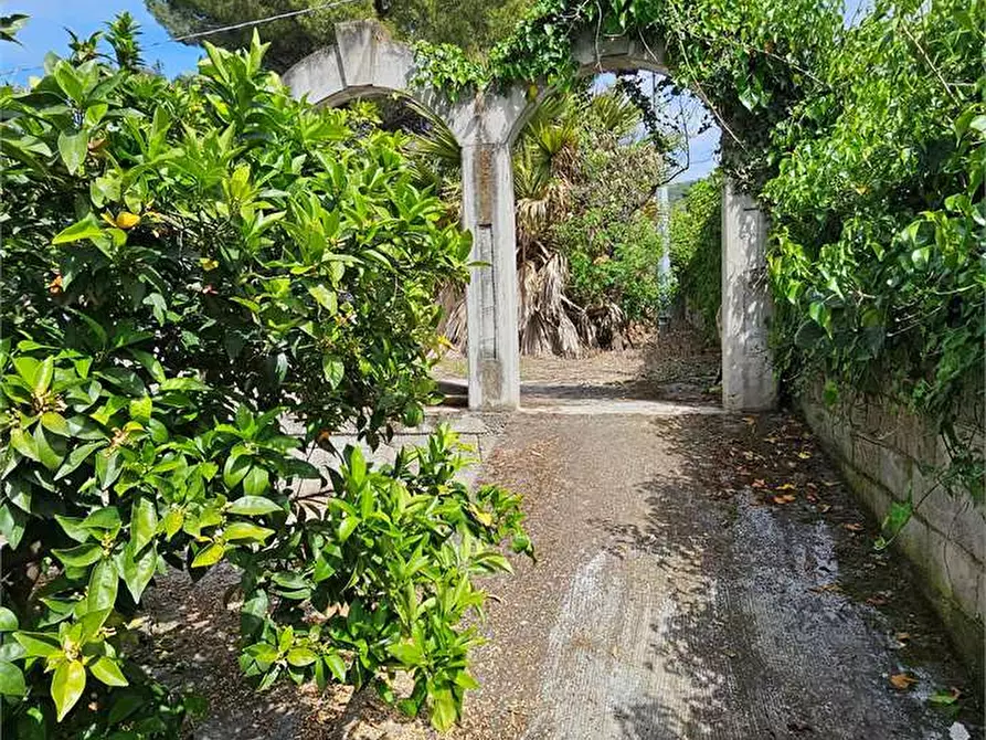 Immagine 17 di Villa in vendita  in SS189 a Campofranco