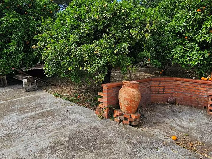 Immagine 26 di Villa in vendita  in SS189 a Campofranco