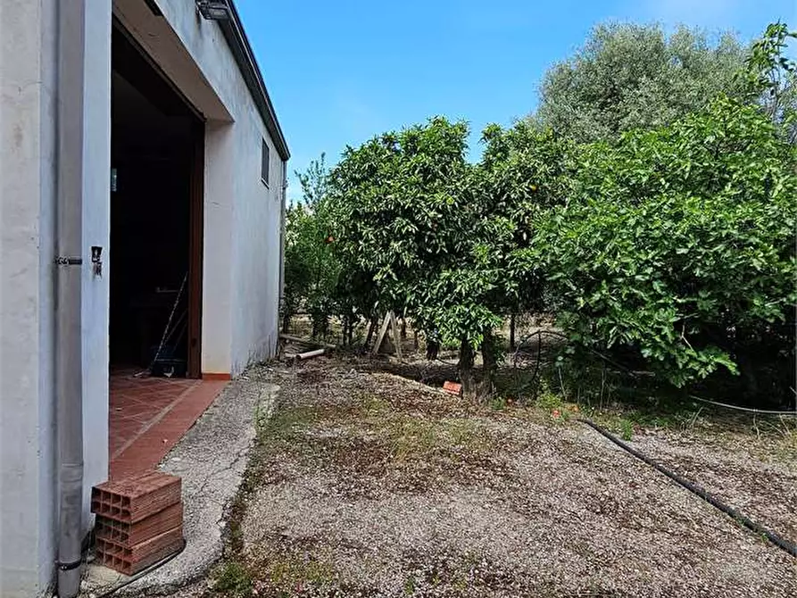 Immagine 2 di Capannone industriale in vendita  in SS189 a Campofranco