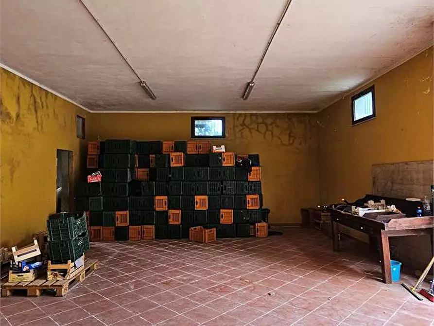 Immagine 10 di Capannone industriale in vendita  in SS189 a Campofranco