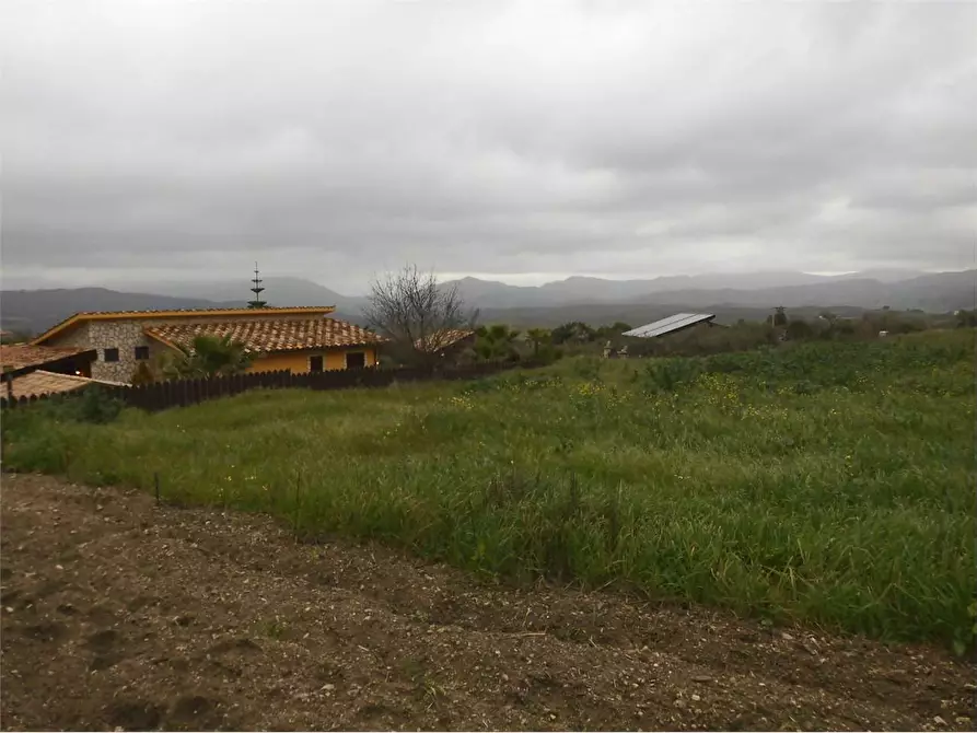 Immagine 4 di Terreno agricolo in vendita  in SP17 a Aragona