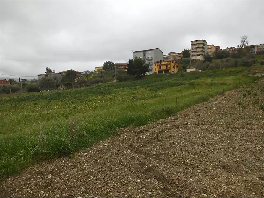 Immagine 5 di Terreno agricolo in vendita  in SP17 a Aragona