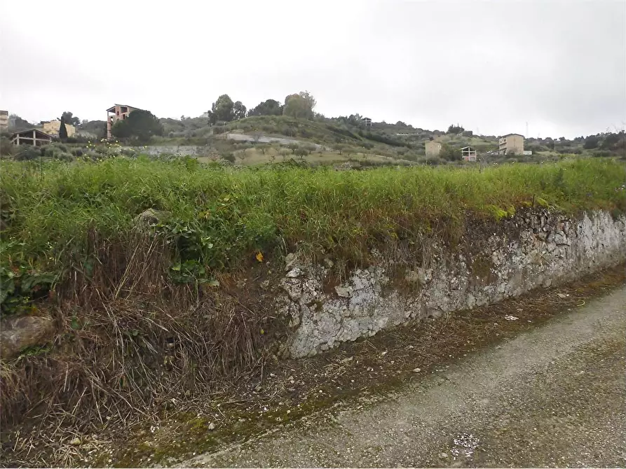 Immagine 7 di Terreno agricolo in vendita  in SP17 a Aragona