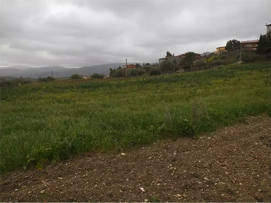 Immagine 8 di Terreno agricolo in vendita  in SP17 a Aragona