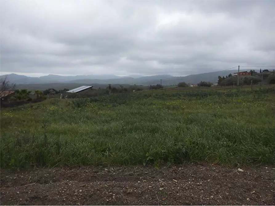 Immagine 9 di Terreno agricolo in vendita  in SP17 a Aragona