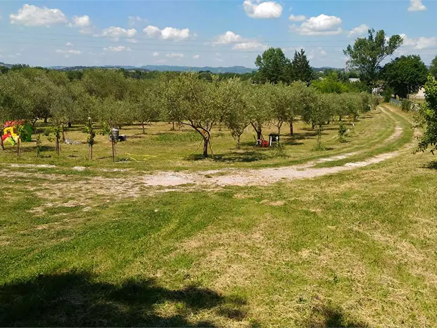 Immagine 1 di Terreno agricolo in vendita  in Strada Cimitero Collestrada Madonna di Campagna a Perugia