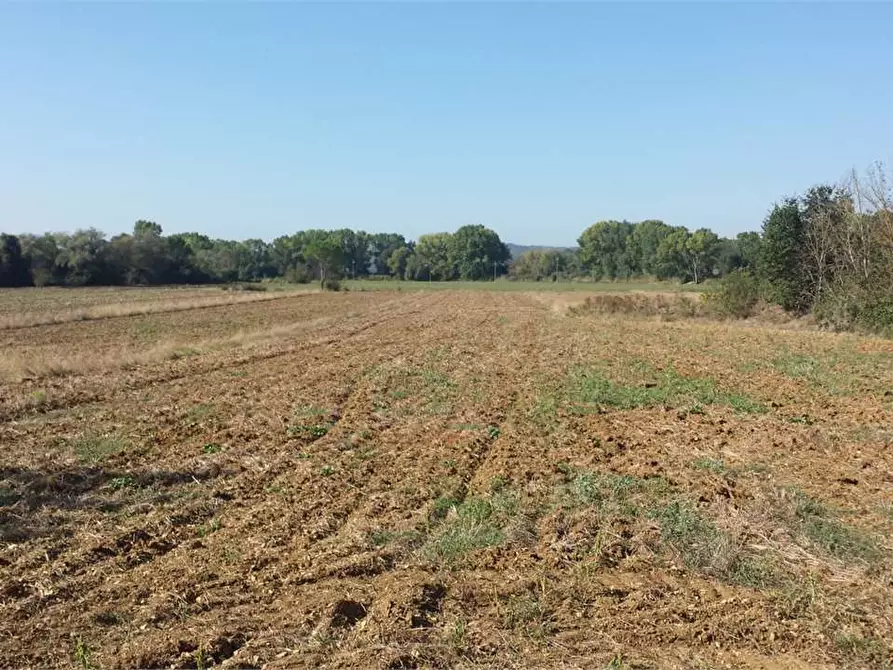 Immagine 1 di Terreno agricolo in vendita  in Via della Democrazia a Corciano