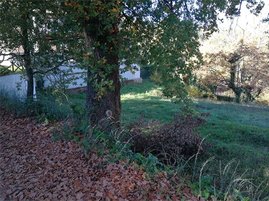 Immagine 3 di Terreno edificabile in vendita  in Via dei Ciclamini  a Perugia