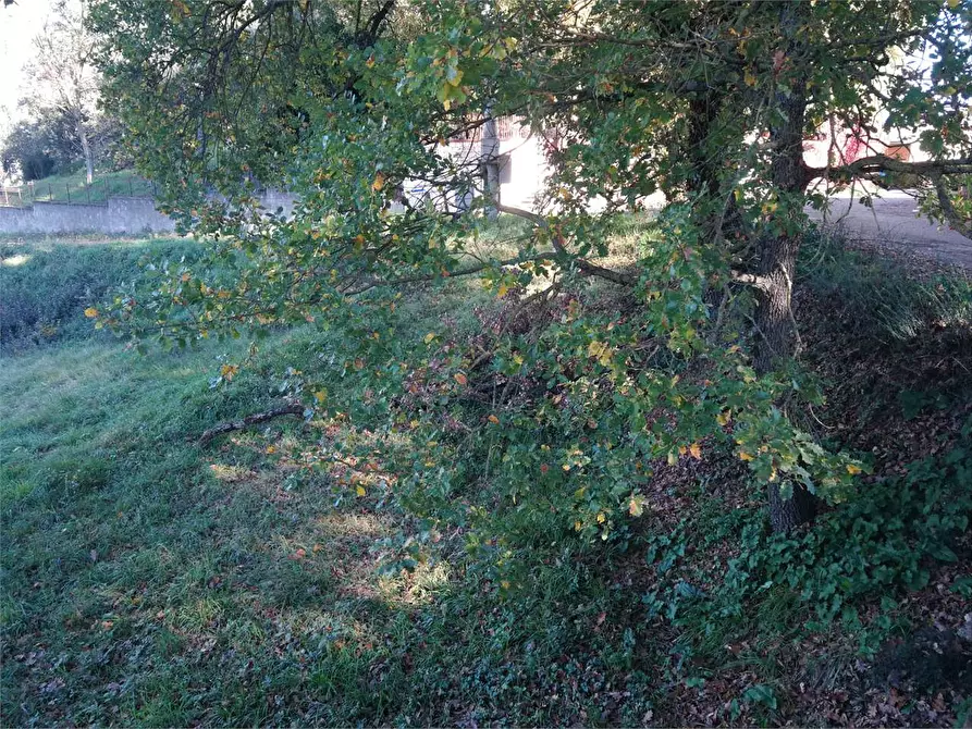 Immagine 6 di Terreno edificabile in vendita  in Via dei Ciclamini  a Perugia