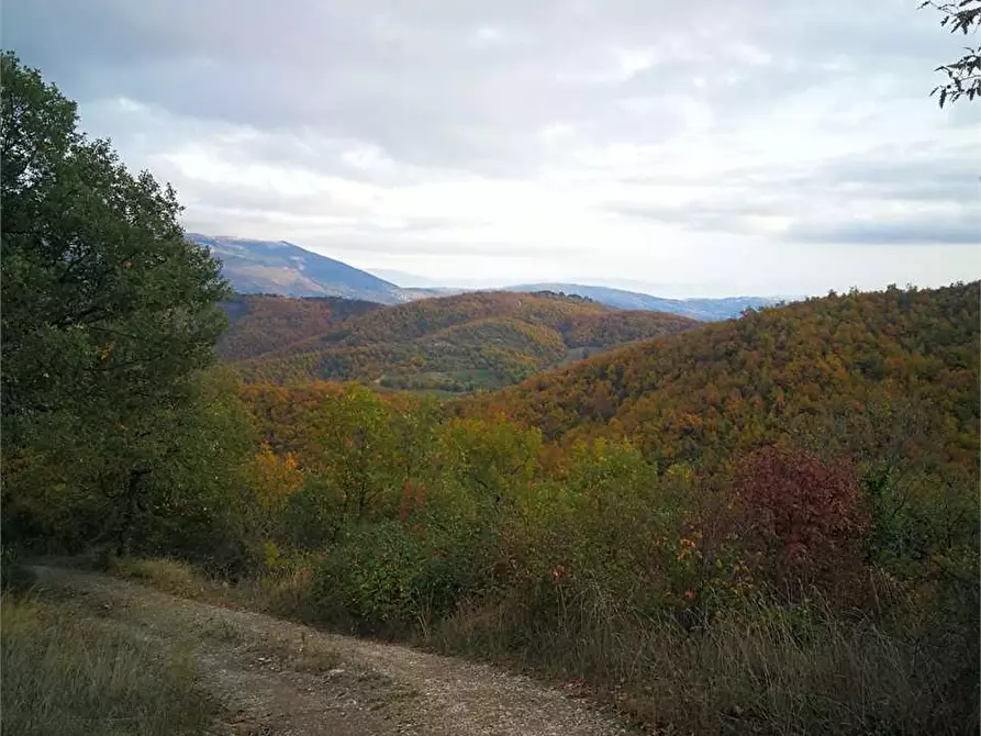 Immagine 7 di Terreno agricolo in vendita  in Via Preggio a Umbertide