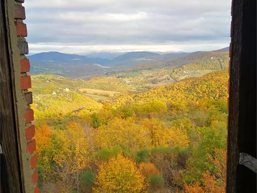 Immagine 8 di Terreno agricolo in vendita  in Via Preggio a Umbertide