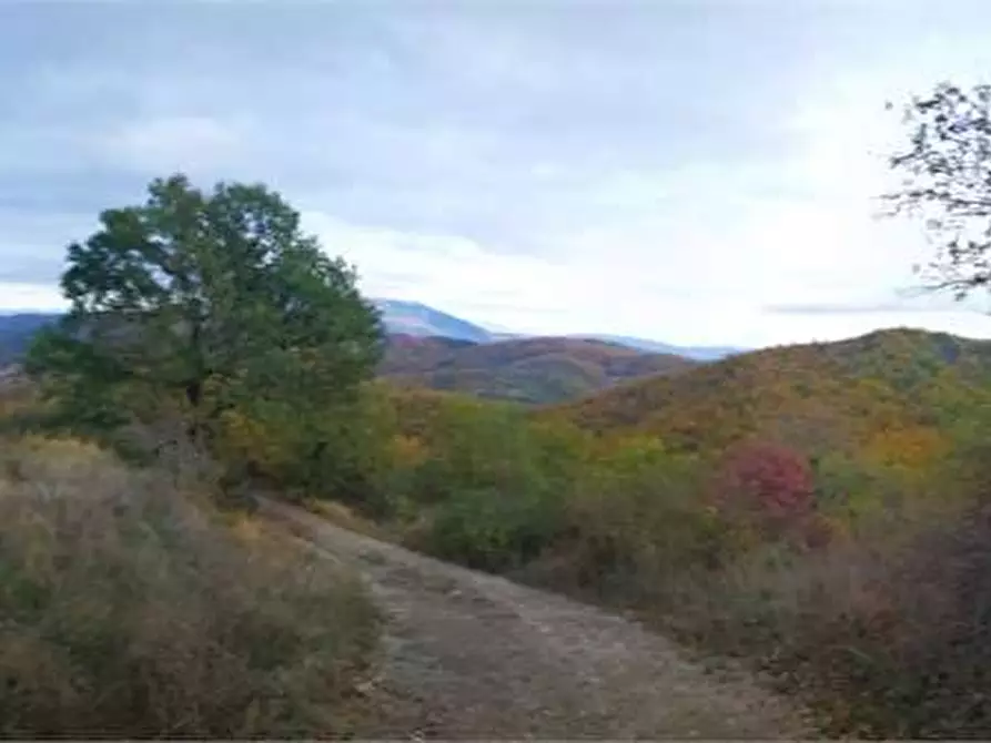 Immagine 4 di Terreno agricolo in vendita  in Via Preggio a Umbertide
