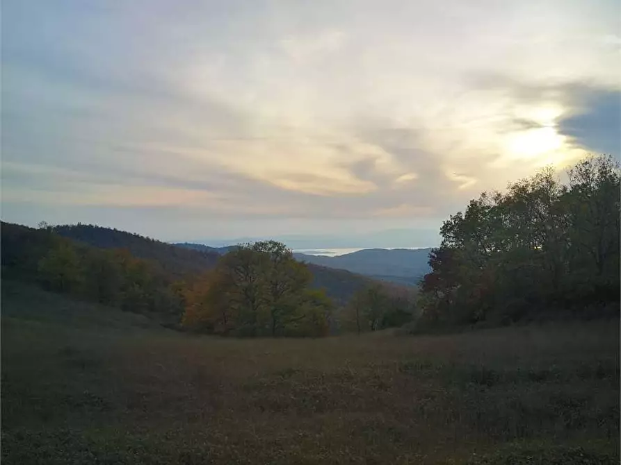Immagine 5 di Terreno agricolo in vendita  in Via Preggio a Umbertide