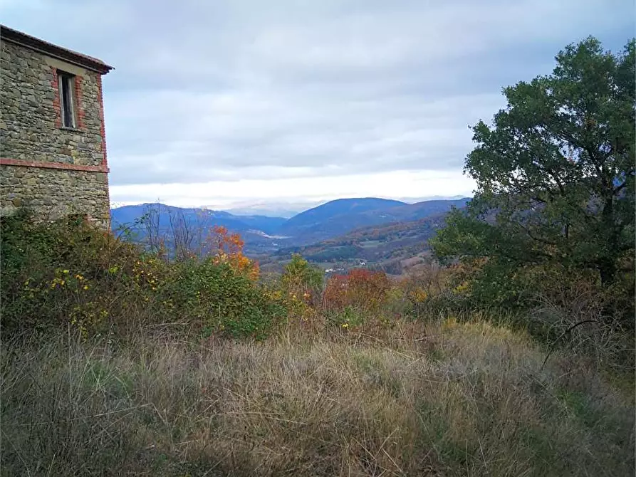 Immagine 6 di Terreno agricolo in vendita  in Via Preggio a Umbertide
