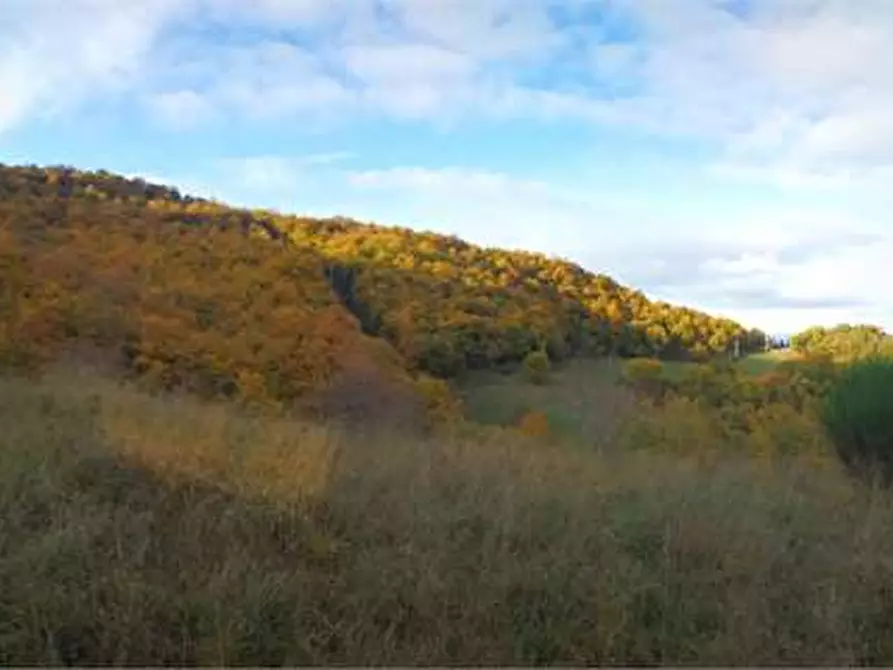 Immagine 9 di Terreno agricolo in vendita  in Via Preggio a Umbertide