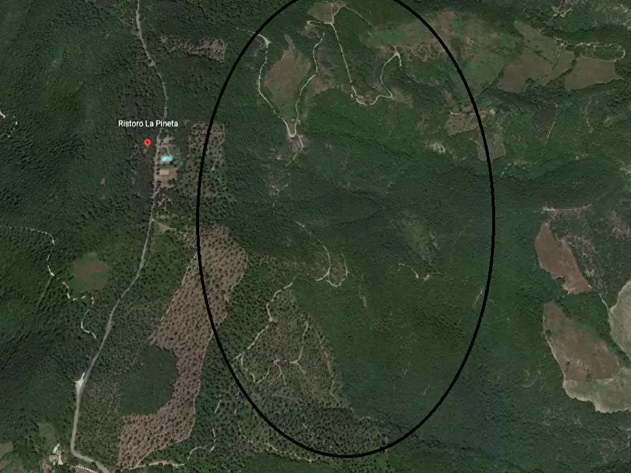 Immagine 2 di Terreno agricolo in vendita  in Via Preggio a Umbertide