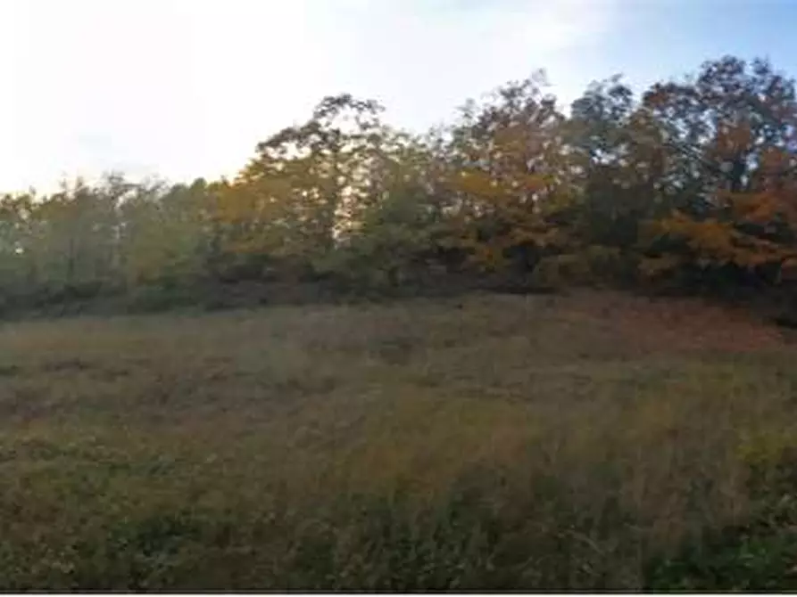 Immagine 10 di Terreno agricolo in vendita  in Via Preggio a Umbertide