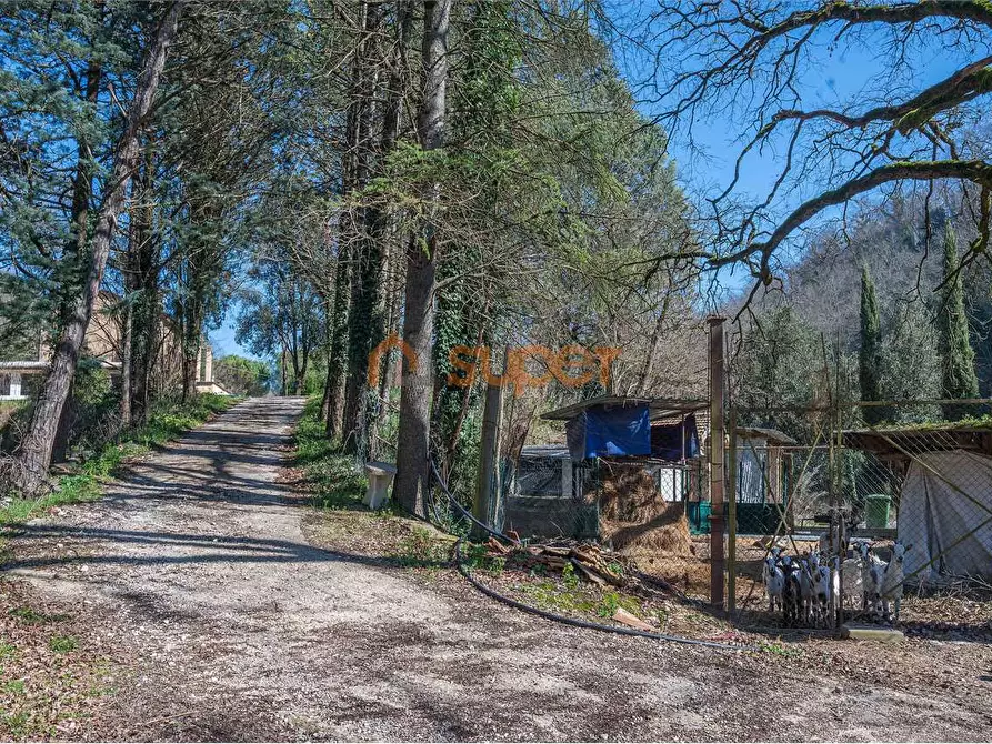Immagine 26 di Casa indipendente in vendita  in via frazione costa di trex a Assisi