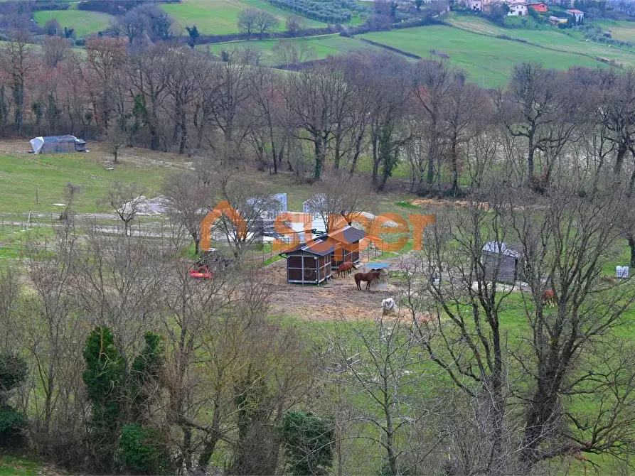 Immagine 34 di Stabile in vendita  in Località Colle  a Nocera Umbra