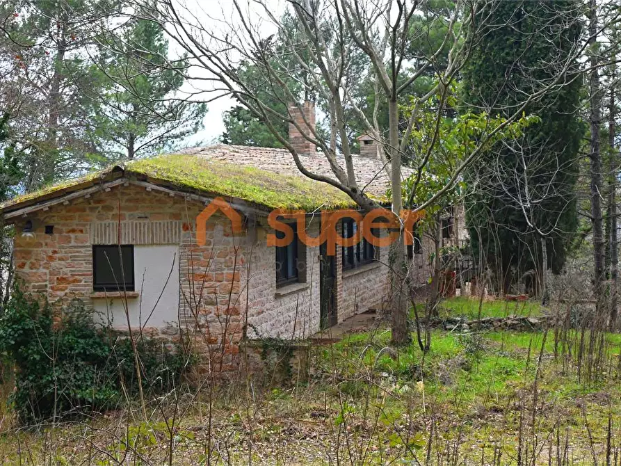 Immagine 8 di Stabile in vendita  in Località colle  a Nocera Umbra