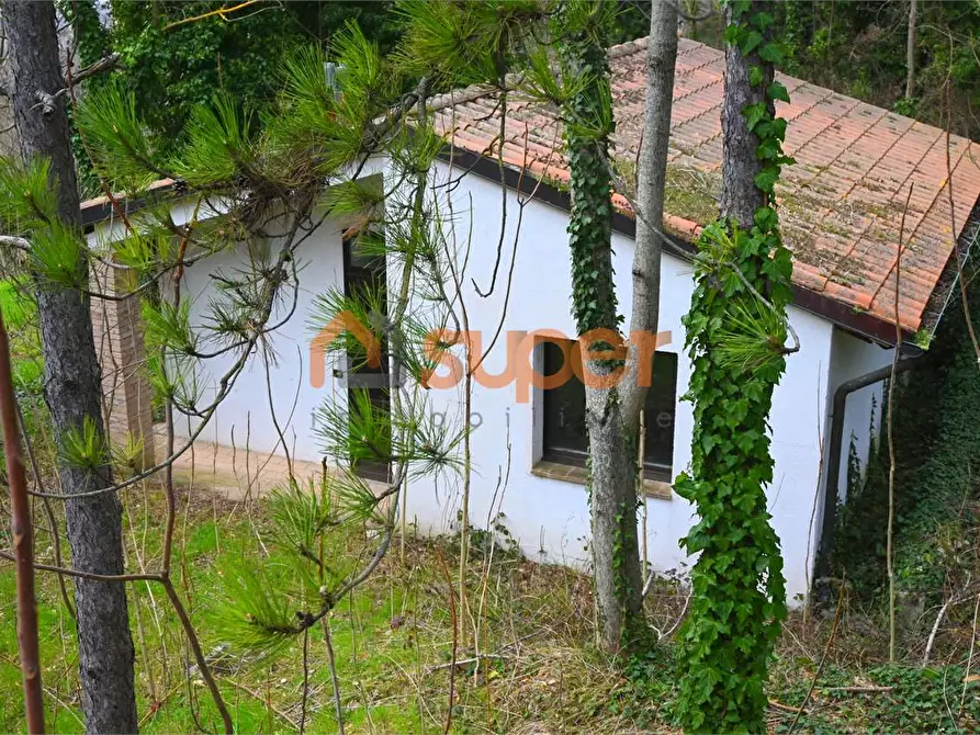 Immagine 9 di Stabile in vendita  in Località colle  a Nocera Umbra