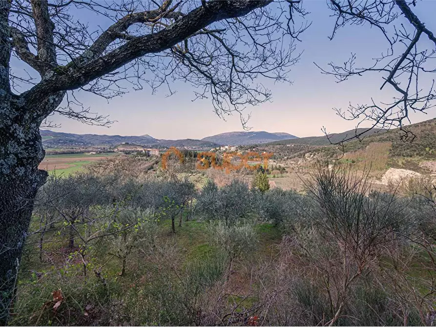 terreno agricolo in vendita a Corciano
