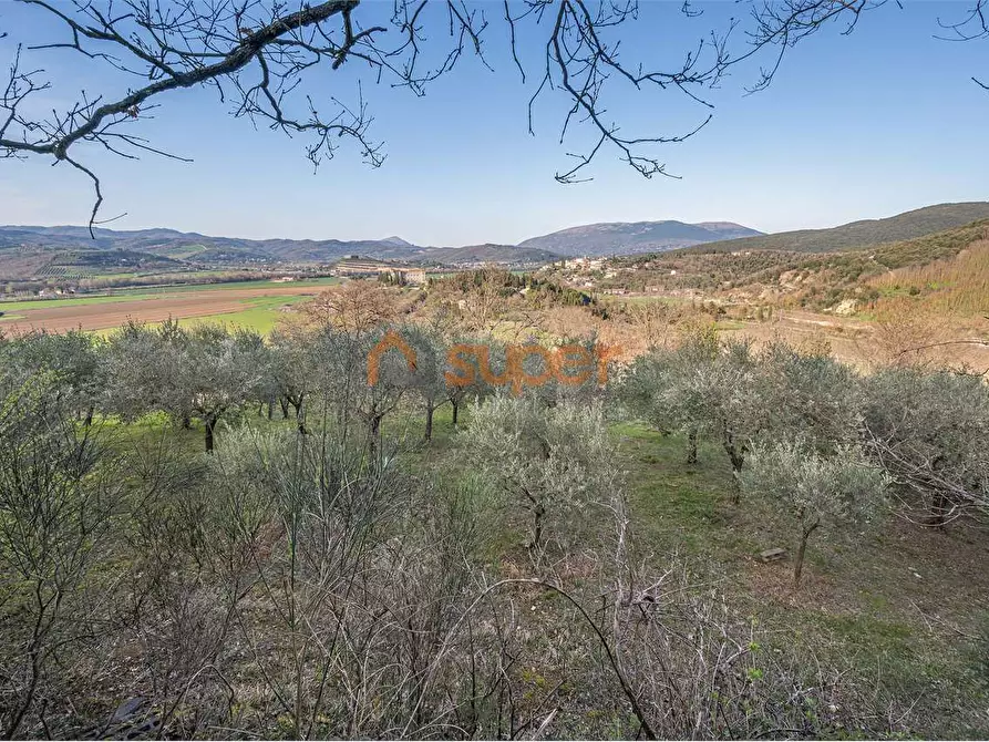 Immagine 2 di Terreno agricolo in vendita  in Via Bonciari a Corciano