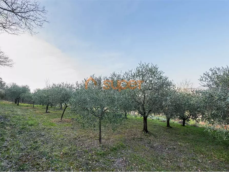 Immagine 5 di Terreno agricolo in vendita  in Via Bonciari a Corciano