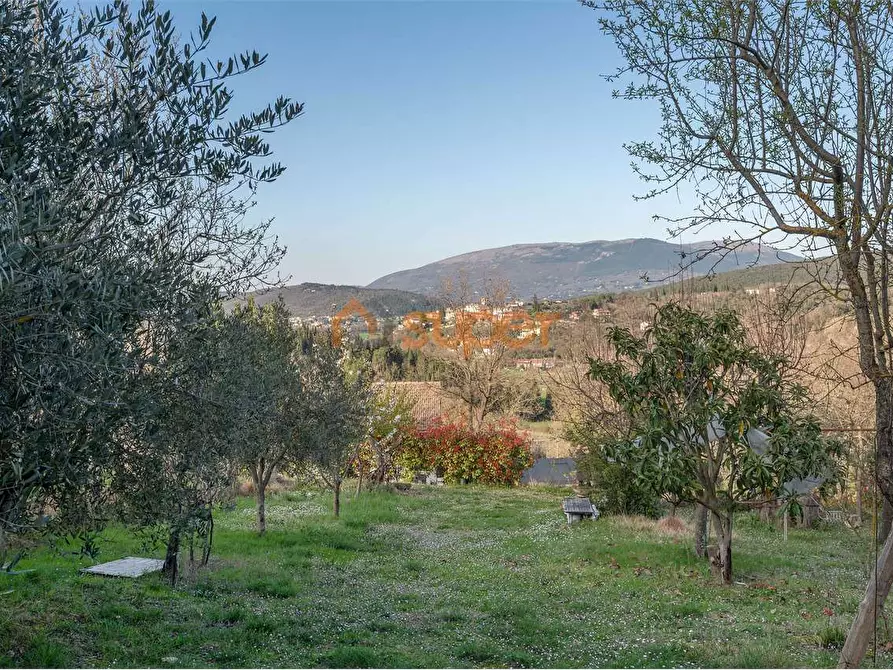 Immagine 6 di Terreno agricolo in vendita  in Via Bonciari a Corciano