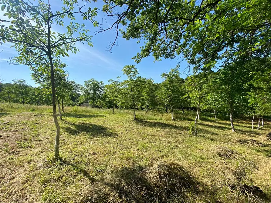 terreno agricolo in vendita a Perugia in zona Centro Città