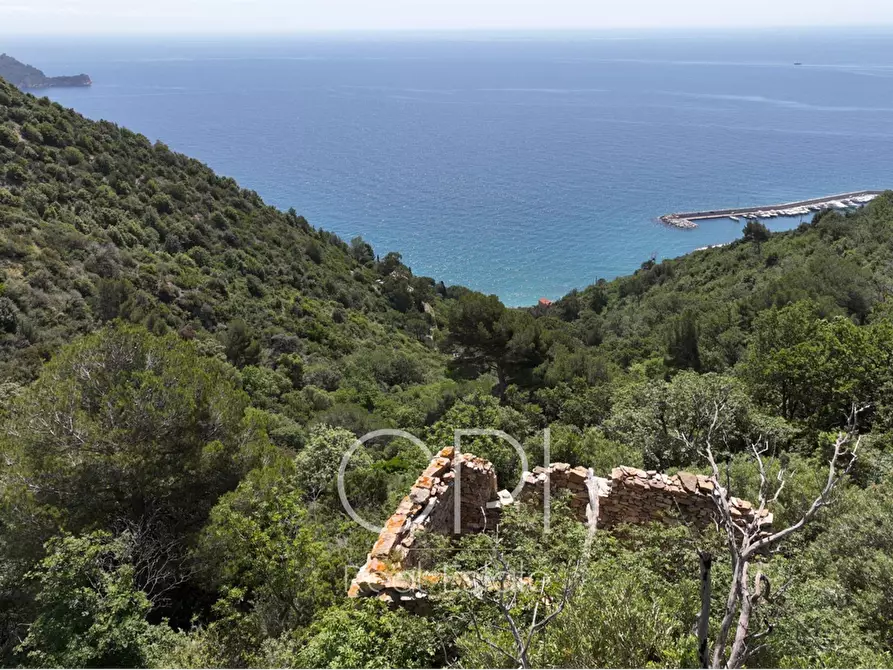 Immagine 22 di Villa in vendita  in Via Julia Augusta a Alassio