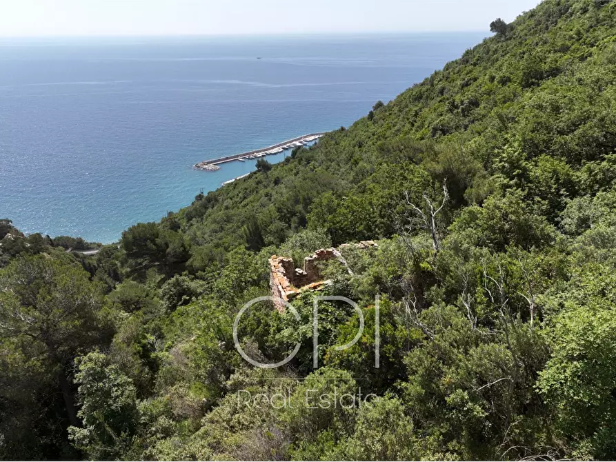 Immagine 21 di Villa in vendita  in Via Julia Augusta a Alassio