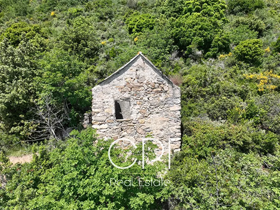 Immagine 20 di Villa in vendita  in Via Julia Augusta a Alassio