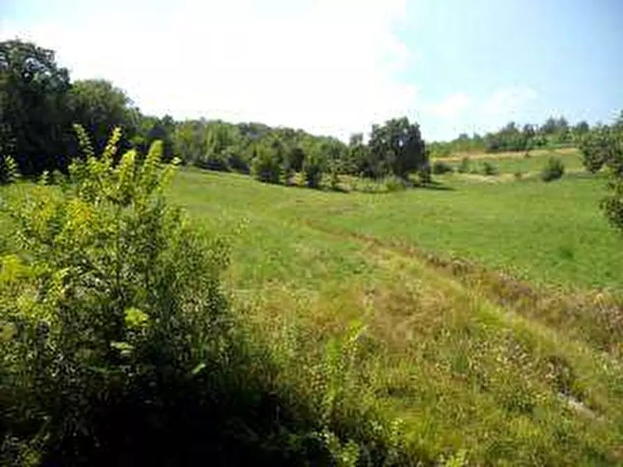 Immagine 21 di Quadrilocale in vendita  in via romagnoli 10 a Villamiroglio