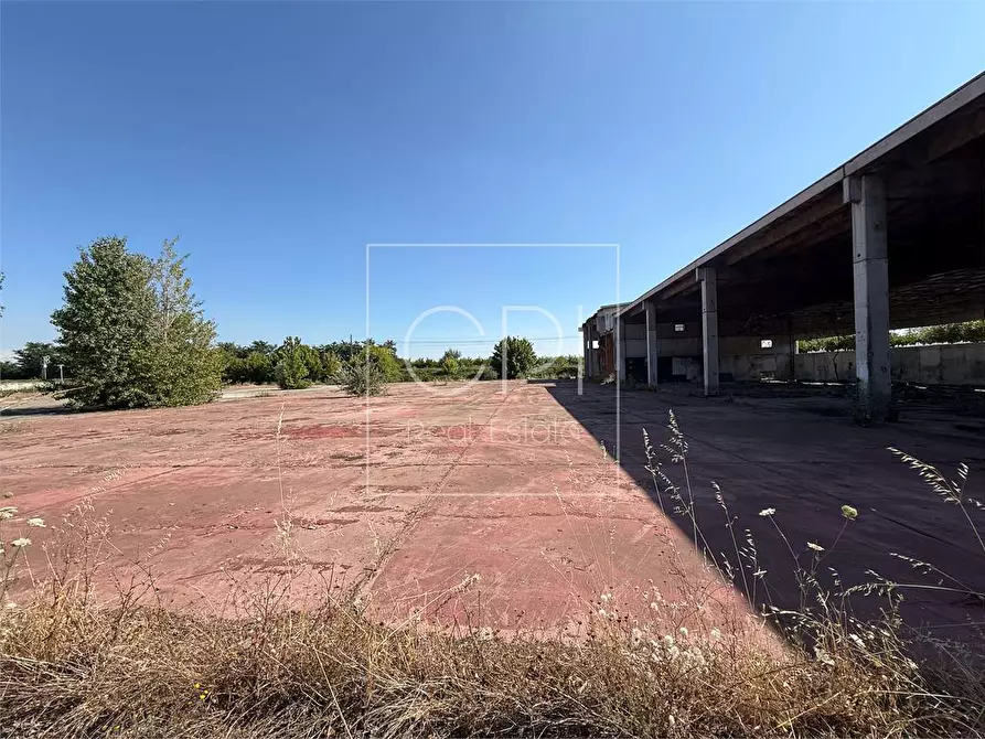 Immagine 12 di Capannone industriale in vendita  in san michele 36 a Alessandria