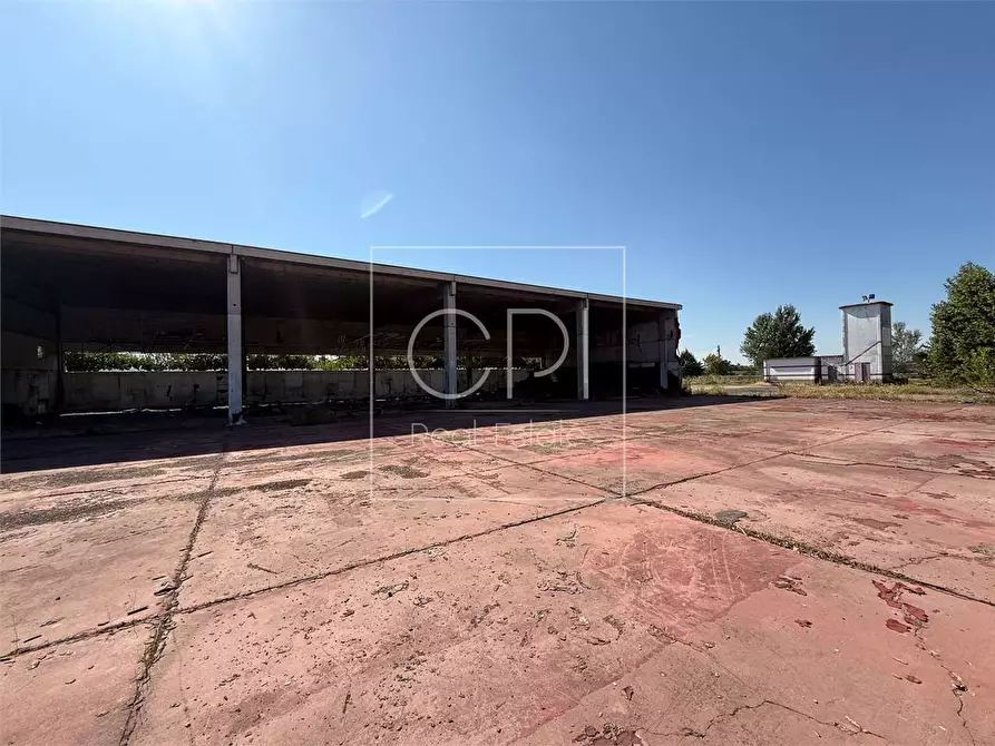 Immagine 15 di Capannone industriale in vendita  in san michele 36 a Alessandria