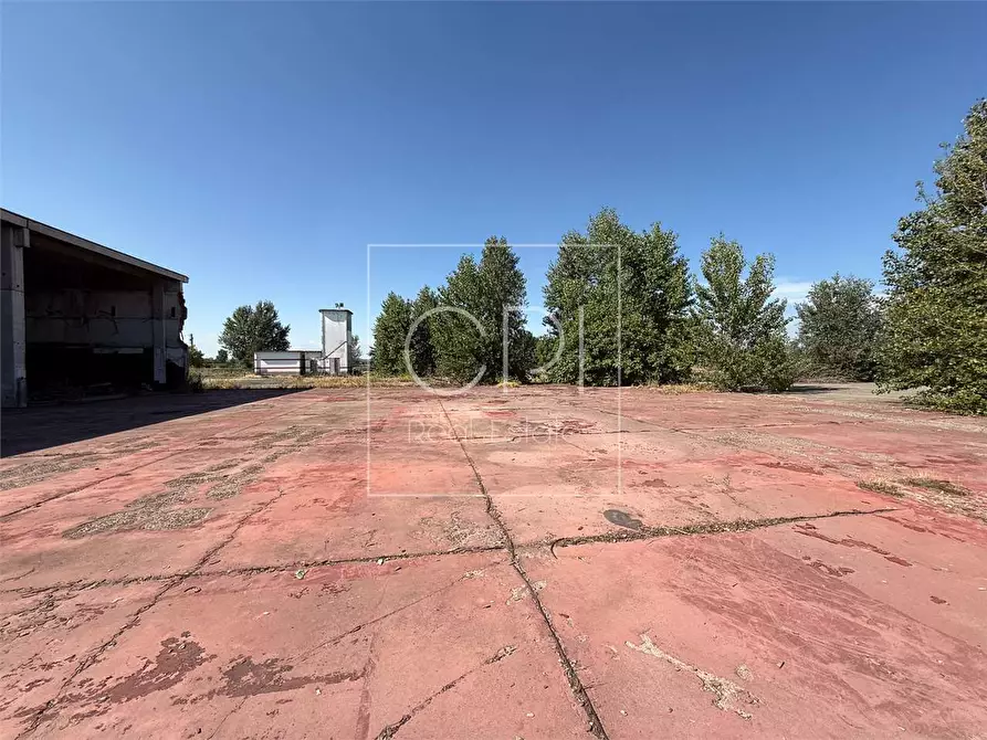 Immagine 19 di Capannone industriale in vendita  in san michele 36 a Alessandria