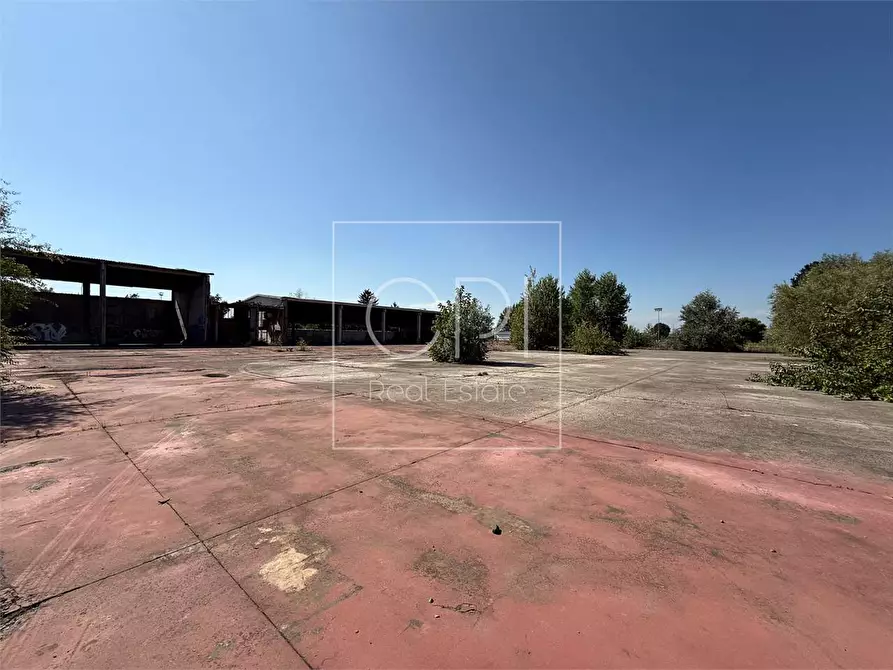 Immagine 21 di Capannone industriale in vendita  in san michele 36 a Alessandria