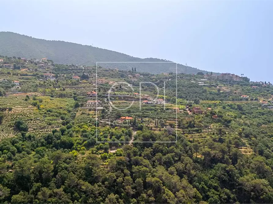 Immagine 47 di Appartamento in vendita  in Via Viale della Repubblica  2 a Vallebona