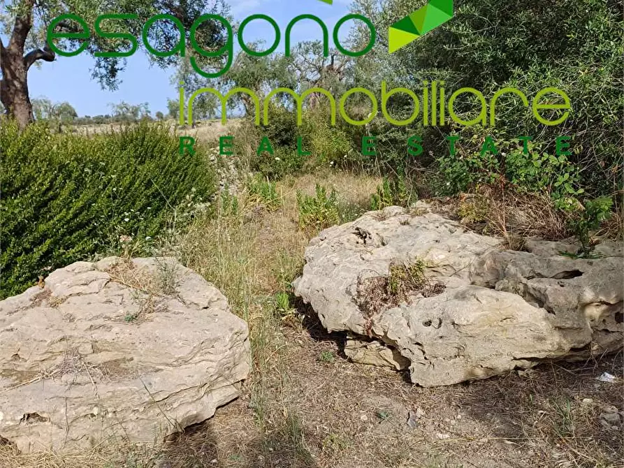 Immagine 2 di Terreno agricolo in vendita  a Siracusa